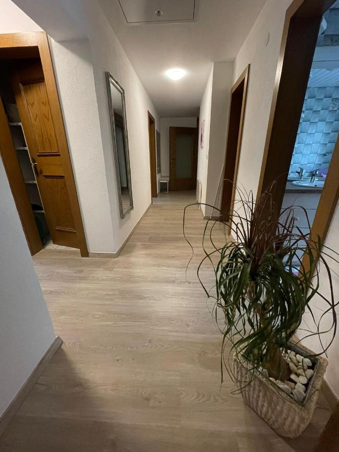 Apartment Wildalmblick Neukirchen am Großvenediger Екстериор снимка